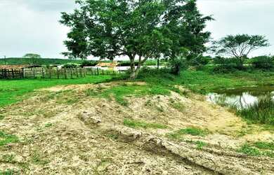 Imagem 1: Fazenda de 60 Tarefas - Lagarto