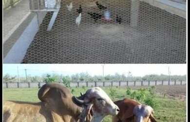 Imagem 8: Lote no Fazenda Real Perto do Lago - pra vender