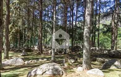 Imagem 16: Flat para venda com 1 quartos, 45m² - Araras - Petrópolis/RJ