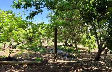 Imagem 10: Sitio Santa Lúcia 7,13 Alq por R$ 1.250.000,00