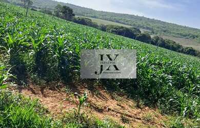 Imagem 9: Fazenda em Andrequicé. Churrasqueira, Varandae900.000.000m² de Área