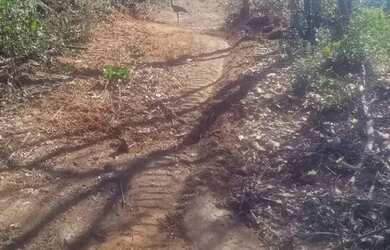 Imagem: A chácara possui 1000m² de Área e está localizado em Sabará