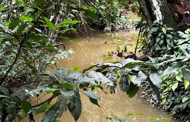 Imagem 15: Fazenda Niquelandia. 1.580.000m² de Área