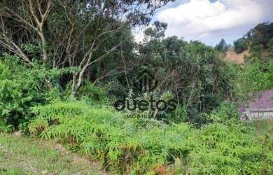 Imagem 15: Terreno à venda, 453 m² por R$ 260.000,00 - Souza Cruz - Brusque/SC