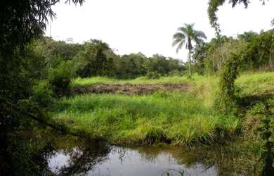 Imagem 2: FAZENDA à venda com 3146000m² por R$ 1.500.000,00 no bairro Barra do...