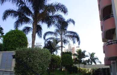 Imagem 8: Butantã Apartamento à venda, Butantã, São Paulo - AP0388