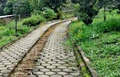 Imagem: O terreno possui 630m² de Área e está localizado em Mato