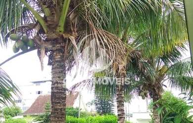 Imagem 10: Casa no bairro Itoupava Norte