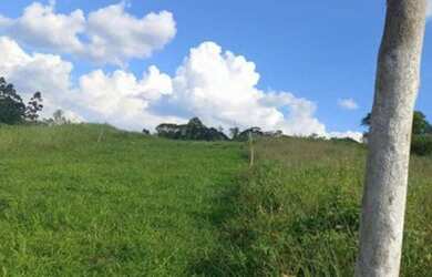 Imagem 11: Terreno plano. 600m² de Área