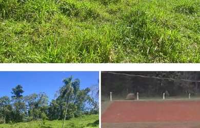 Imagem 1: OTIMO TERRENO PLANO