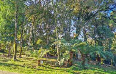 Imagem 4: Terreno à venda, 400 m² por R$ 583.000,00 - Centro - Canela/RS