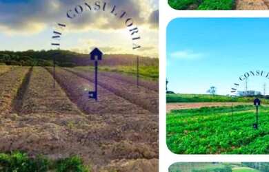 Imagem 3: o /26 Adquira já seu terreno para investir, com infraestrutura em inicio