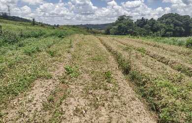 Imagem 8: Lote/Terreno para venda com 600 metros quadrados em Jardim Helena - Carapicuíba...