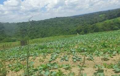 Imagem 10: Lote/Terreno para venda com 600 metros quadrados em Raposo Tavares - Osasco...