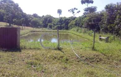 Imagem 16: Rural fazenda com 3 quartos - Bairro Zona Rural em Bela Vista de Goiás