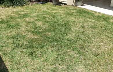 Imagem 15: LINDA CASA EM CONDOMÍNIO EM BURAQUINHO