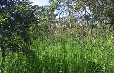 Imagem 6: Terreno em Corumbá III. 1.000m² de Área