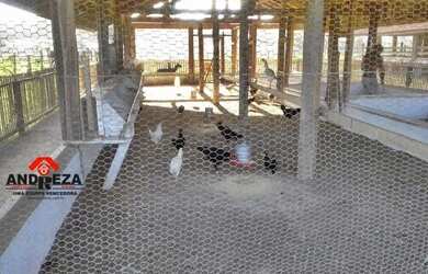 Imagem 14: Cond. Fazenda Real Residence med. 14x30 3 suítes 1 vaga de garagem