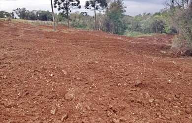 Imagem 9: Chácara em Santa Tereza do Oeste