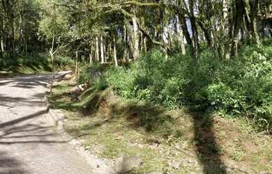 Imagem 3: Terreno em Condomínio - Bairro Pinheiro Grosso