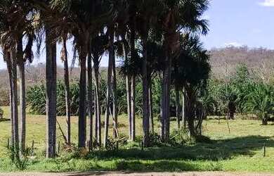Imagem: A chácara e está localizado em Parque Oeste Industrial, Goiânia