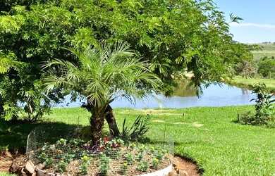 Imagem 11: Sitio Santa Lúcia 7,13 Alq por R$ 1.250.000,00