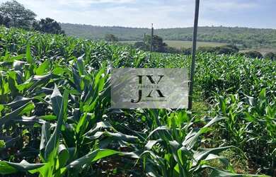 Imagem 8: Fazenda em Andrequicé. Churrasqueira, Varandae900.000.000m² de Área