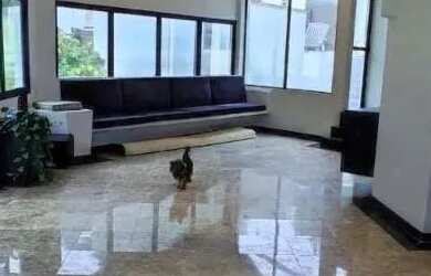 Imagem 16: Casa à venda e para alugar em Santana de Parnaíba, Residencial Dez Alphaville...