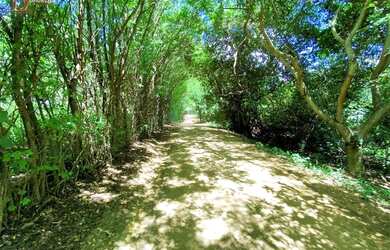 Imagem 12: Linda casa térrea. Piscina, Churrasqueira, Ar-condicionadoeÁrea de serviço