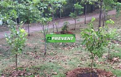 Imagem 6: CASA ALTO PADRÃO -VENDA FINANCIAMENTO -BARUERI