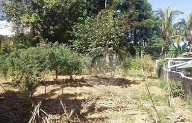 Imagem 6: Terreno com ótima localização para venda-Vila Antonio