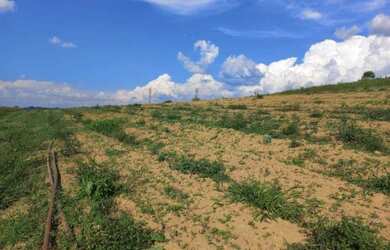 Imagem 8: Terreno plano. 600m² de Área