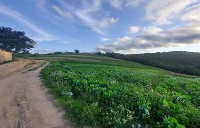 Imagem 9: Lote/Terreno para venda com 600 metros quadrados em Raposo Tavares - Osasco...