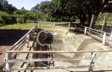 Imagem 9: Rural fazenda com 3 quartos - Bairro Zona Rural em Bela Vista de Goiás