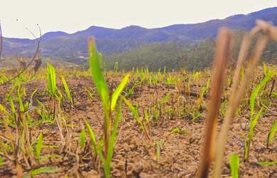 Imagem 8: terreno proximo de atibaia