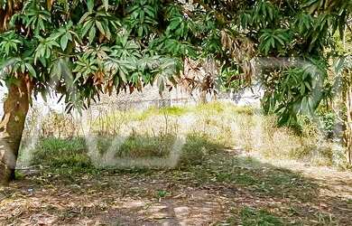 Imagem 9: Lote/Terreno para venda tem 754 metros quadrados em Vitória Régia -...