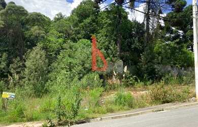 Imagem 12: Terreno 181 metros quadrados Jardim Roma - Almirante Tamandaré - Região...