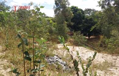 Imagem 4: Terreno para Venda em Bonanza Santa Luzia-MG