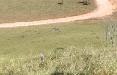 Imagem: A chácara possui 680.000m² de Área e está localizado em