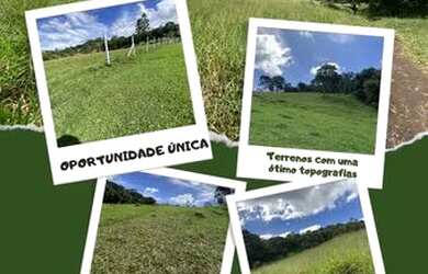 Imagem: O terreno está localizado em Centro, Guarulhos à venda por