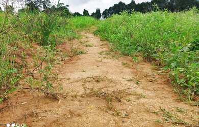 Imagem 13: Lote/Terreno para venda tem 500 metros quadrados em Jardim Lavapes das...