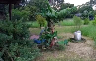 Imagem 7: Terreno em Lami. 1.440m² de Área