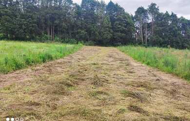 Imagem 15: Lote/Terreno para venda tem 500 metros quadrados em Jardim Lavapes das...