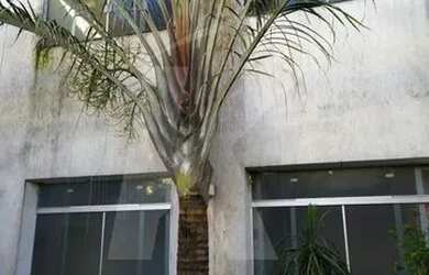 Imagem: O depósito possui 4 Vagas na garagem, 700m² de Área e está