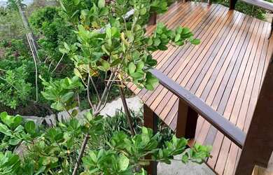 Imagem 4: Casa ao lado do Mirante Sunset, a melhor vista de Pipa! Aceita aluguel dia