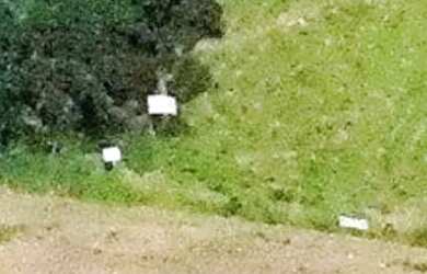 Imagem 11: EXCELENTE ÁREA P/ INVESTIR EM PORANGATU - GO 16.000m²