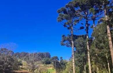 Imagem 4: Terreno Arcoverde Carlos Barbosa