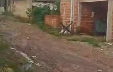 Imagem 9: Lote com 3 cômodos na 26 de setembro