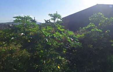 Imagem 3: Terreno em malhador sergipe