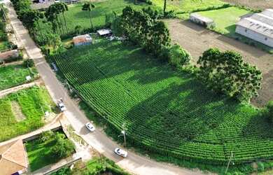 Imagem 4: Área 5.600 m² para venda em Almirante Tamandaré